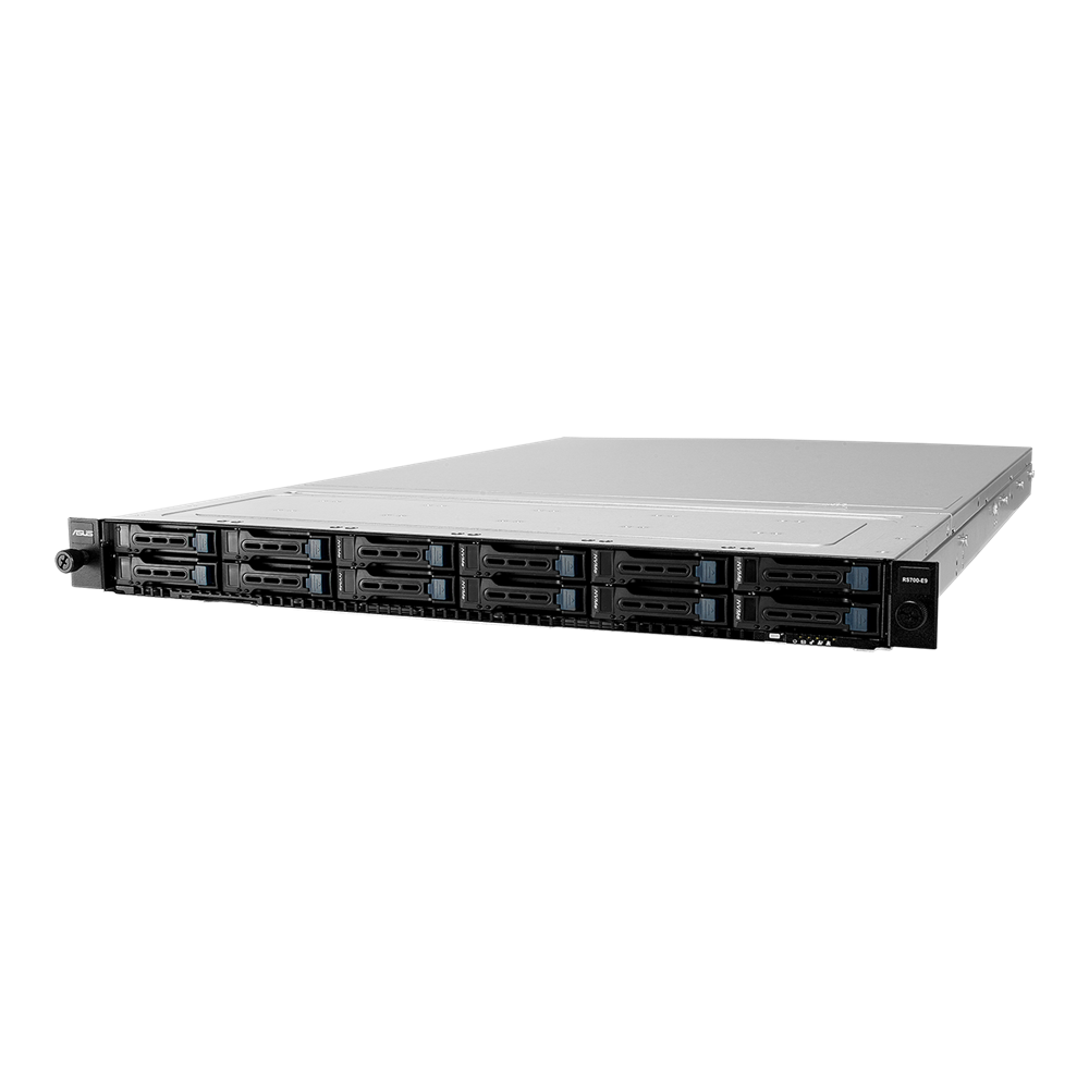 سرور ایسوس مدل RS700-E9-RS12
